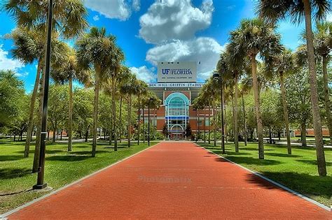 University Of Florida College Magazine