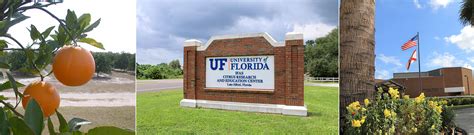 University Of Florida Crec