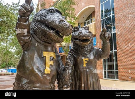 University Of Florida Mascots Albert And Alberta Gator Facing Ben