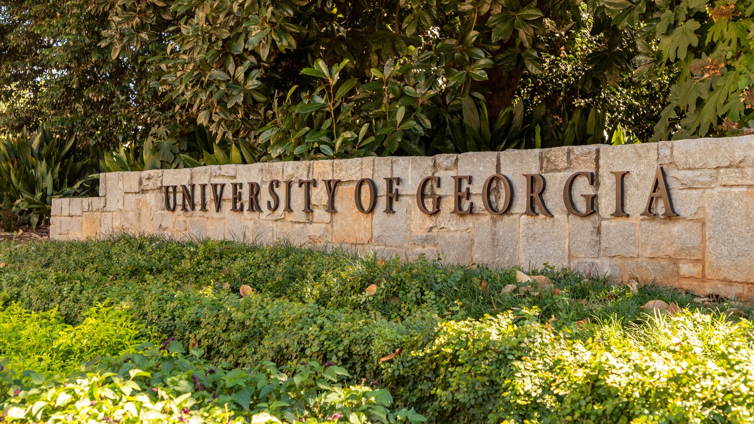 University Of Georgia Athens Tuition