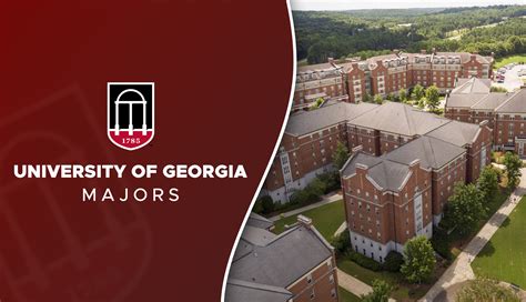 University Of Georgia Majors Guide