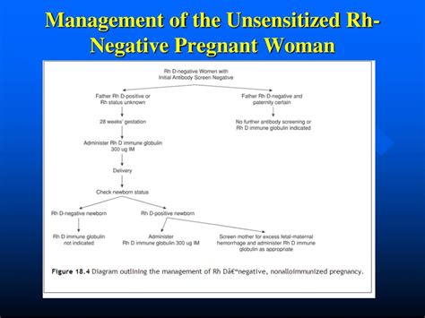 Unsensitized Rh Negative