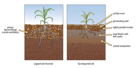 Urbanization Effects: Soil Compaction Solutions