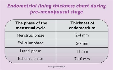 Uterine Lining Thickness