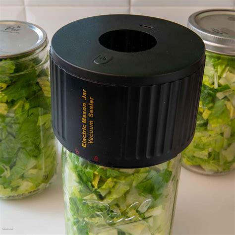 Vacuum Sealer Guide: Canning Made Easy