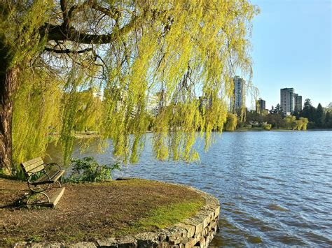 Vancouver Lost Lagoon: Discover Nature's Beauty