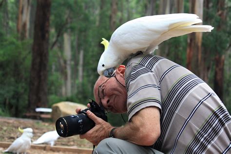 Varying Angle Of Animals: Capture Stunning Wildlife Photos