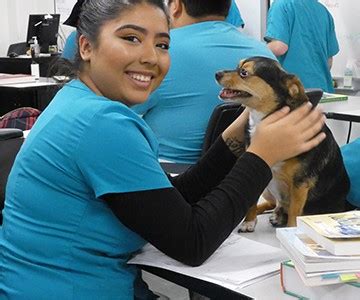 Vet Tech Assistant Salary California Janise Nicholson