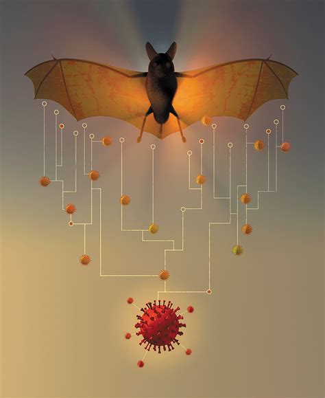 Virology Research Analysis: Complete Study Of Chinese Bat Virus Pathways