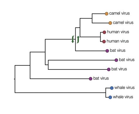 Viruses Might Be An Example Of What Is Called An Evolutionary Stable Pdf