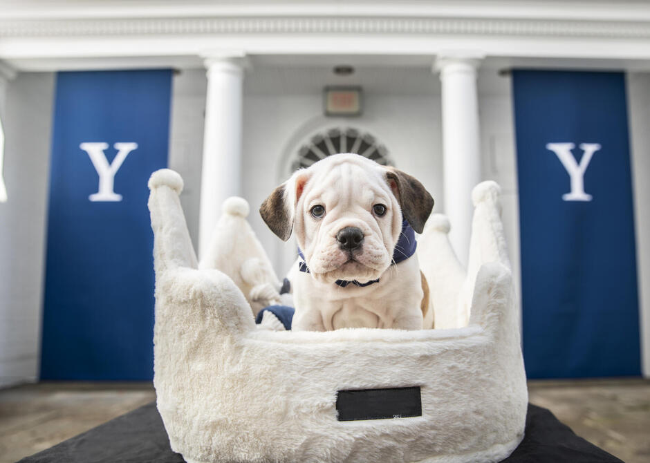 Visitor Arrival Welcome Table Yale College Family Weekend 2024