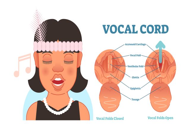 Vocal Technique And Sound Placement My Voice Exercises Com