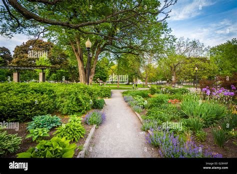 Walkway And Gardens At The Allan Gardens In The Garden District