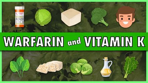 Warfarin And Vitamin K Youtube