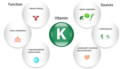 Warfarin Reversal How Much Vitamin K Is Okay Criticalcarenow