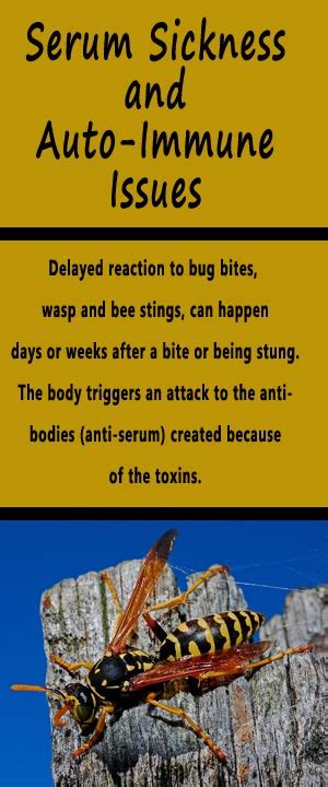 Wasp Sting Serum Sickness