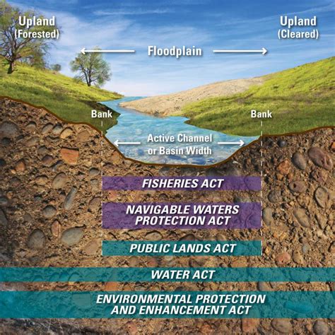 Water Restrictions Alberta: Rules Explained