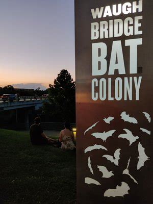 Waugh Drive Bat Colony Updated January 2025 112 Photos Amp 46 Reviews