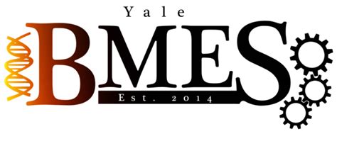 Welcome To The Bmes The Yale Biomedical Engineering Society