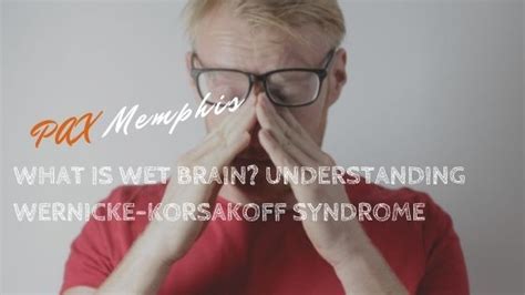 Wet Brain Understanding Wernicke Korsakoff Syndrome Pax Memphis