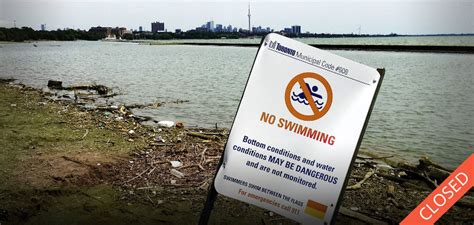 What Affects Toronto Water Quality? Expert Insights