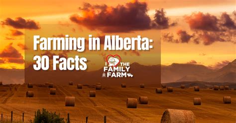 What Are Alberta Farming Challenges? Expert Solutions