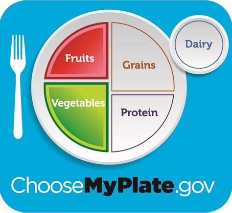 What Are Avocados On Myplate