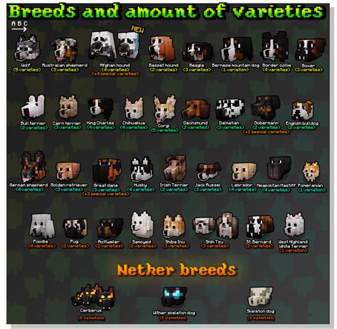 What Are Dog Types In Minecraft? Breed Guide