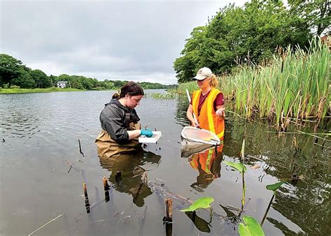 What Are Freshwater Scavengers? Solve Water Issues