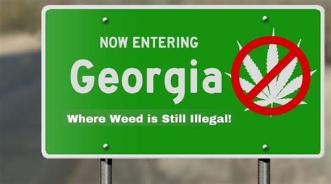 What Are Georgia Weed Laws? Know Your Rights