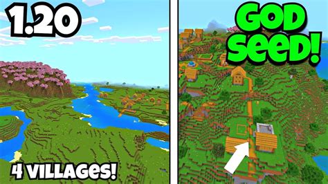 What Are Seeds With Villages? Community Building Guide