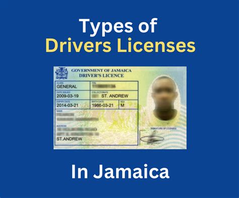 What Are The Different Types Of Driver Licenses In Jamaica Brawta List