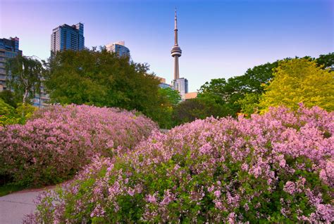 What Are Toronto Parks? Find Your New Favourite