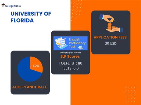 What Are Uf Honors Requirements? Admission Tips