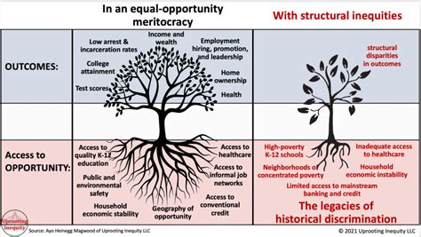 What Are Vanderbilt Structural Inequities? Fixing Disparities