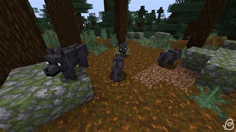 What Biomes Have Minecraft Dogs? Find Your Pet