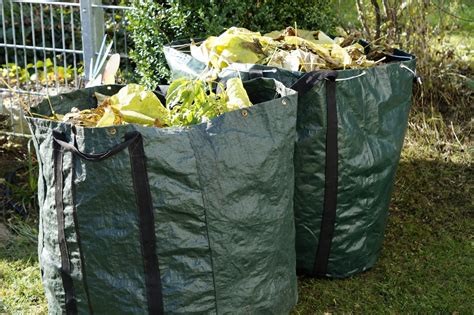 What Can You Do With Yard Waste In Toronto Read Here