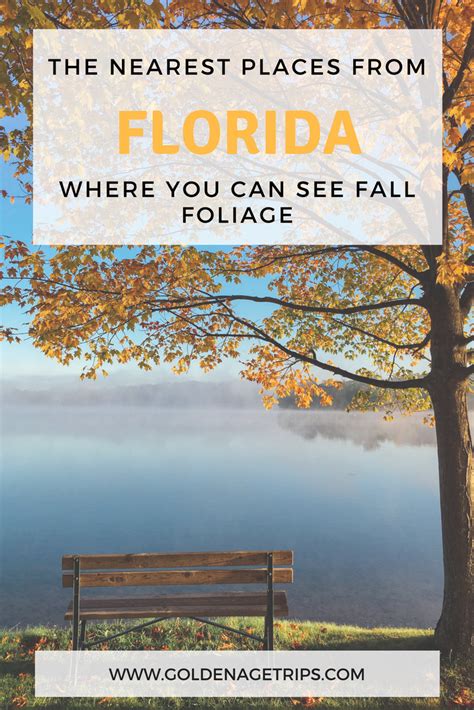 What Causes Fall Foliage In Florida? Top Spots Revealed