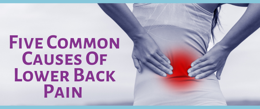 What Causes Lower Back Pain Bruising? Fast Relief