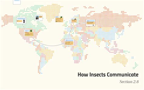 What Do Bugs Communicate? Expert Insights