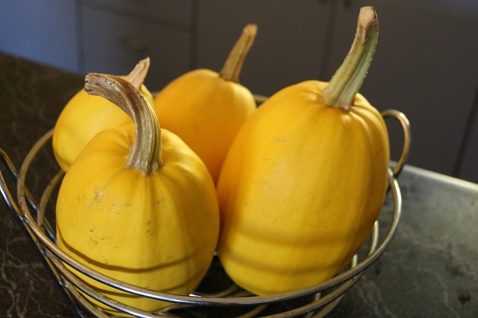 What Does Spaghetti Squash Taste Like