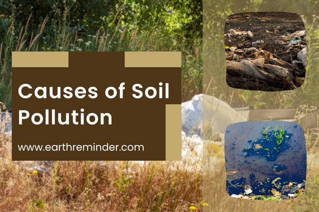 What Harms Soil? Coal Effects Solutions