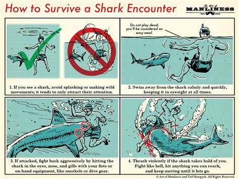 What If A Shark Eats You? Survival Tips