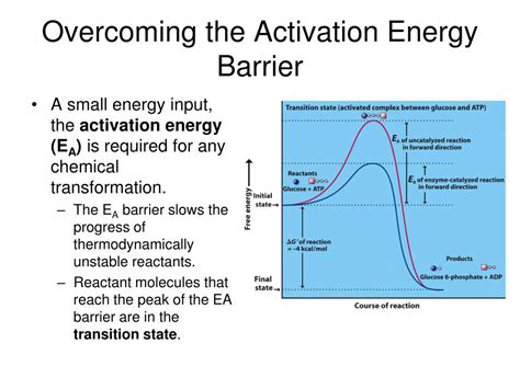 What Is Activation Energy? Lowering Barriers