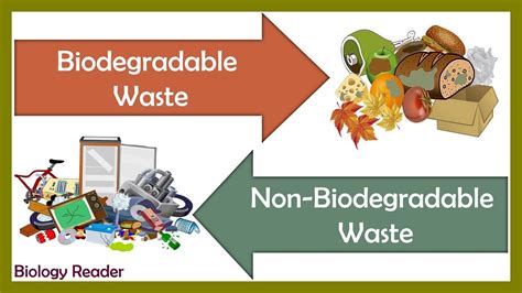 What Is Biodegradable And Non Biodegradable Waste I Waste Management I