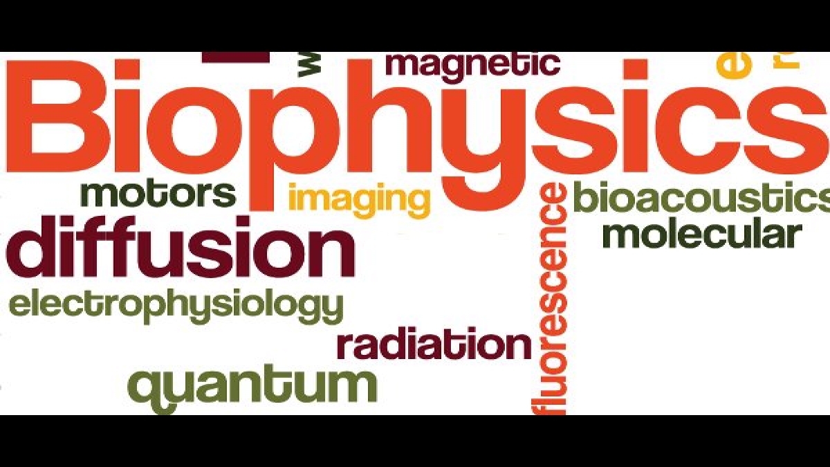 What Is Biophysics Scope And Career Opportunities Careerindia