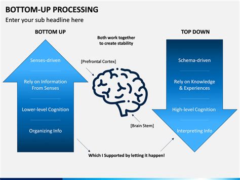 What Is Bottom Up Process? Empowering Change