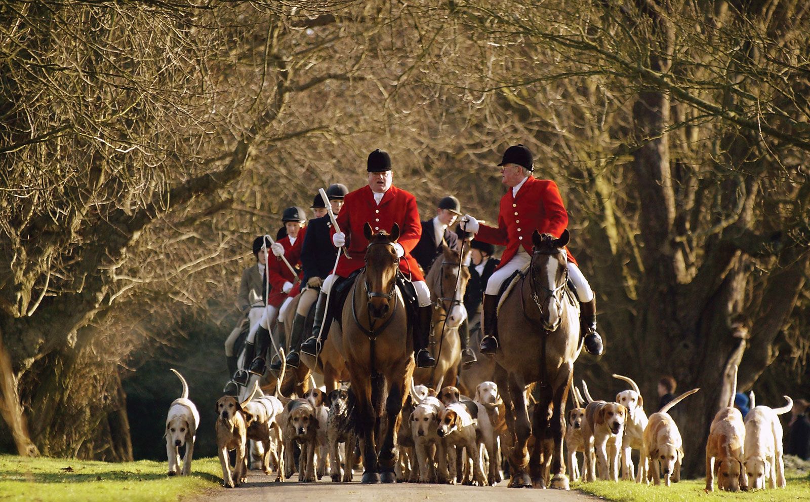 What Is Boxing Day? Your Shopping Guide