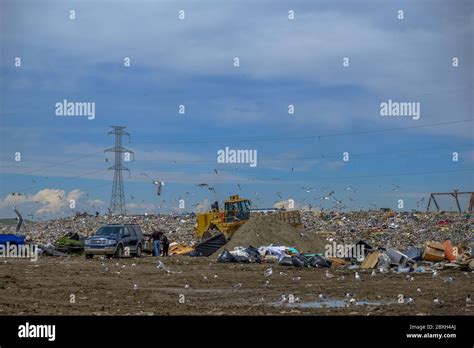 What Is Calgary Shepard Landfill? Waste Management Guide