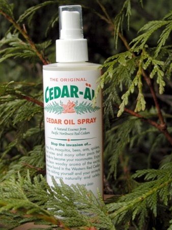 What Is Cedar Oil Spray? Natural Pest Control